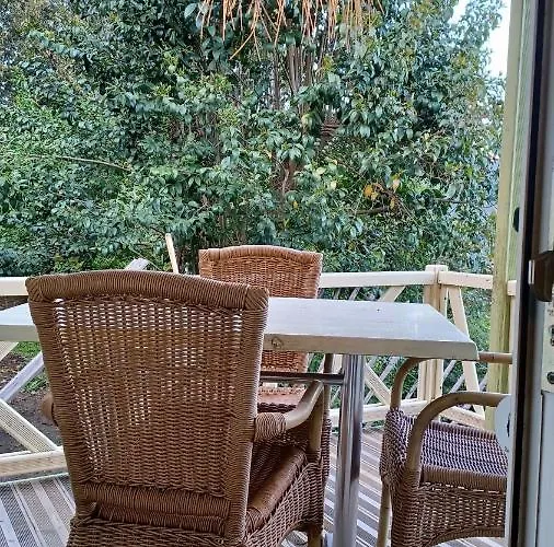 Le Petit De Charlene * San-Gavino-di-Carbini